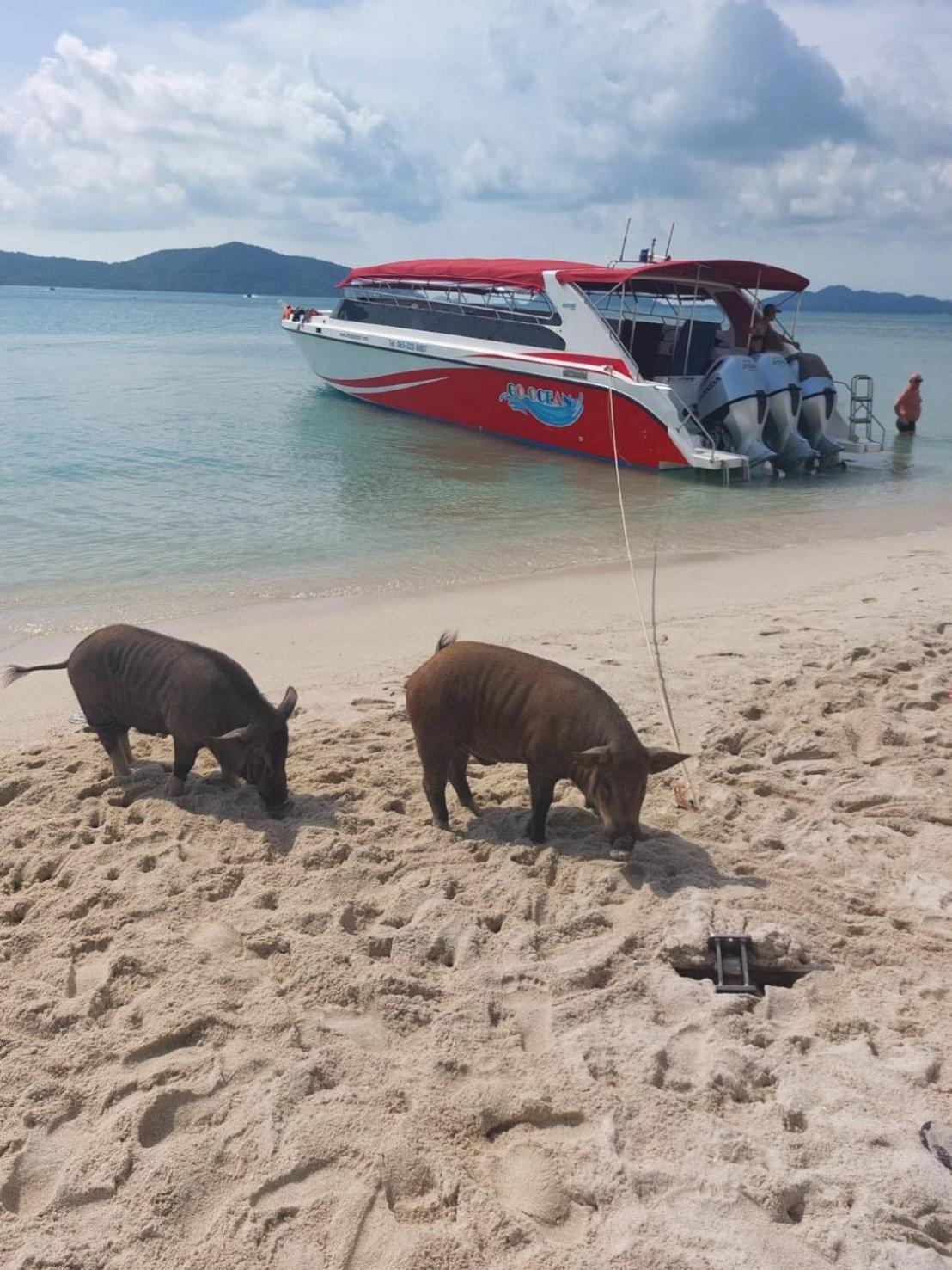 บอนนี่ 2* Lamai Beach (Koh Samui)